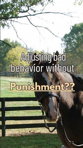 Check out the description to learn how - no corrections or punishment needed!