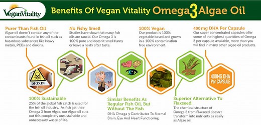 Omega 3 Algae Oil