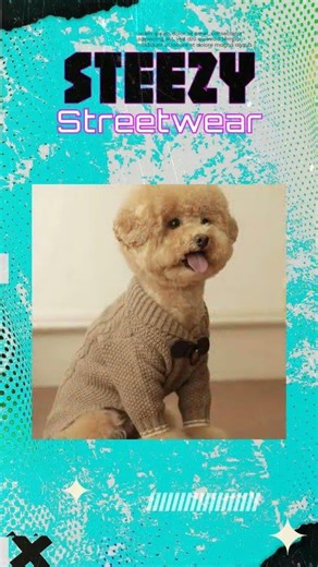 Knit Sweater Pullover