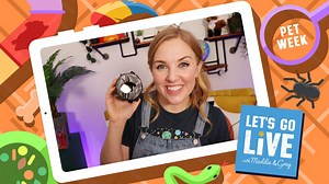 Cat's Eyes Experiment - Let's Go Live