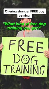 8.4K views · 45 reactions | Ready to transform your dog's behavior? The Dog Calming Code is your key!  . Visit this link : - https://bit.ly/we-dog-trainer . . . . . . . . DM for credit or removal request (no copyright intended) ©️ All rights and credits reserved to the respective owners . #dogtraining #hundesport #dogsport #hundetraining #workingmalinois #unterordnung #obedience #unterordnungstraining #obediencedog #dogobedience #dogsports #doghandler | We Dog Trainer | Facebook