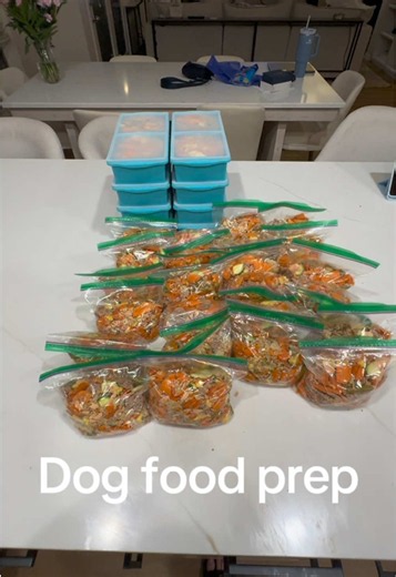 Homemade Dog Food Prep for My Bernedoodle | What I Make