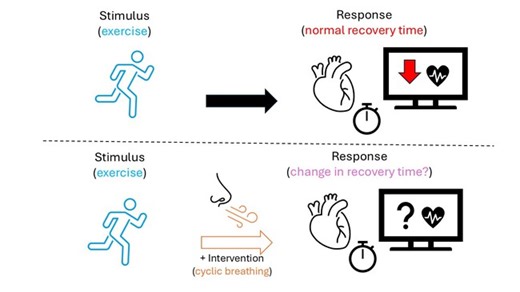 Use Mindfulness and Relaxation Training to Prepare to be an Astronaut | Science Project