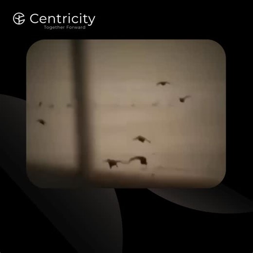 Centricity WealthTech on Instagram: "Momentum doesn’t ask for permission. It responds to intent. The people who move ahead aren’t waiting for signals, approvals, or perfect conditions. They choose clarity over clutter, action over hesitation, and direction over noise. At Centricity, that belief is built into everything we do. Creating a space where progress feels deliberate, confidence feels earned, and growth feels shared. Because real progress isn’t sudden. It’s designed. It’s sustained. #Toge