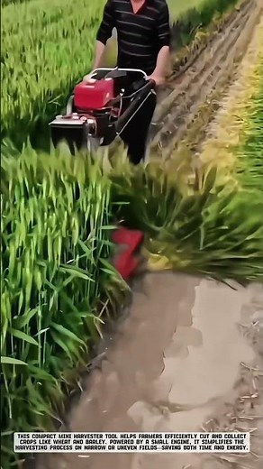 Mini Harvest Tool: Revolutionizing Small-Scale Farming #AgriculturalInnovation
