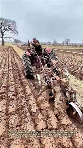 土が“返る”瞬間：トラクターと犁が刻む畑の新しい表情