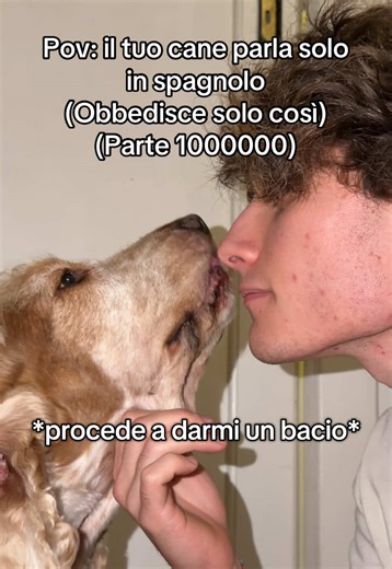 Il cane che parla in spagnolo: un fenomeno incredibile