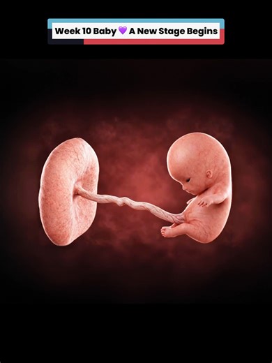 Your Baby's Development at Week 10 of Pregnancy