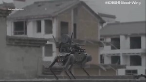 300K views · 4.2K reactions | TERRIFYING TECHNOLOGY: Drone drops off robotic attack dog with machine gun. https://fxn.ws/3DAwwCK | Fox News | Facebook