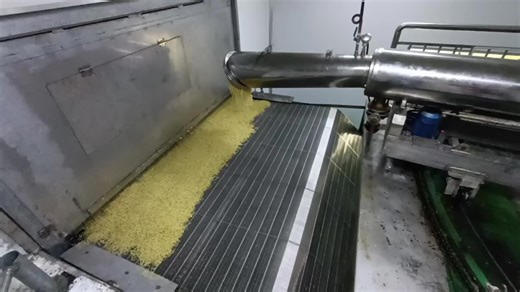 Halal Gelatin Sheets Ideal for Jelly & Pudding Recipes