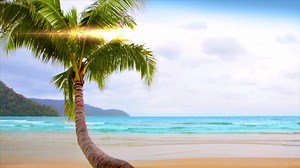 8K views · 47 reactions | Time for a holiday? Find out how you can turn 17 days of annual leave into 42 days off. Sunrise tomorrow, 5.30 on Seven. | Sunrise | Facebook