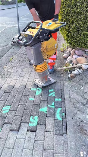 The Wildest No Nut November Fails