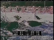 Battle of Midway - 250119-09