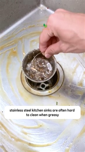 Tips for cleaning greasy sinks | Lush Kitchen