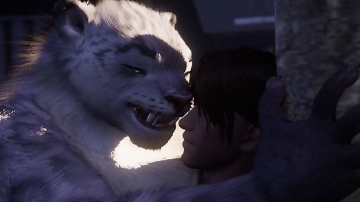 【wild life】24年2月更新内容说明