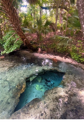 Exploring Florida's Hidden Springs with Friends
