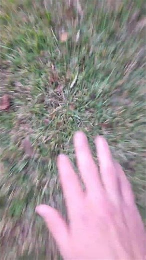 Day 172 of touching grass until Aeternus is verified