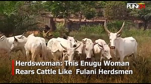194K views · 3.9K reactions | Herdswoman: This Enugu Woman Rears Cattle Like Fulani Herdsmen | Punch Newspapers | Facebook