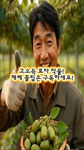 일반 다래와 비교 불가! 20브릭스 당도 폭발하는 ‘용성 2호’ 재배 비결 #토종다래#용성2호#다래#shorts