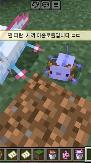 마크 레전드 명령어 +파란 아홀로틀#minecraft #마인크래프트 #마크