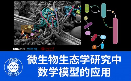 微生物群落的定量—数学模型在微生物生态学研究中的应用