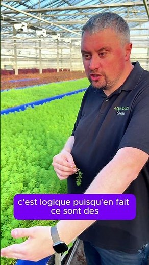 Pourquoi mes plantes aquatiques bouquet arrivent SANS racines? La vérité sur la production en serre