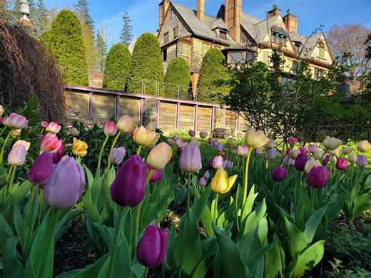Is this the most stunning spring walk in Massachusetts? Take a look.