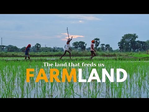 Farmland: A Short film | Agriculture documentary 4k |