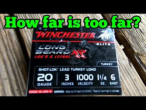 How far is too far? 20 gauge Longbeard XR Penetration Test