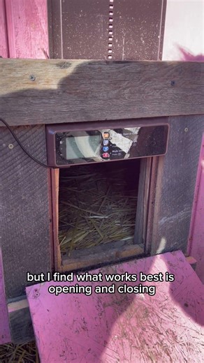 Chicken Door Timer Tutorial! #wintertime #chickens