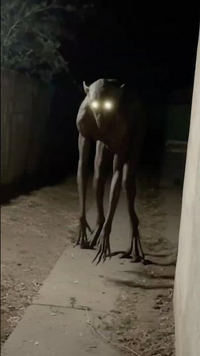 Security Camera Footage Allegedly Shows Chupacabra in New Mexico Backyard