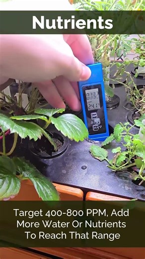 How to Measure Nutrients in Hydroponics Using PPM (Beginner Home Farm Guide)