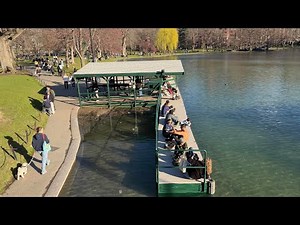 Discover Boston Common Park 2026 | 4K Scenic City Walk in Boston