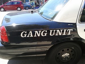 Chicago Gangs: Basic Education for Parents, Teachers and Community Members