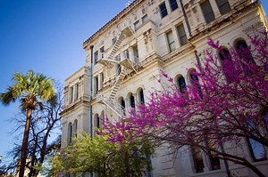 27 Terrific Flowering Trees For Texas Yards - ProGardenTips