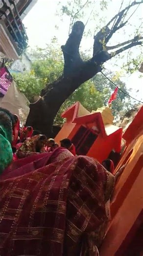 suhaglae #monday#mandir#pooja# woman rituals#katha#jabalpur #family #life