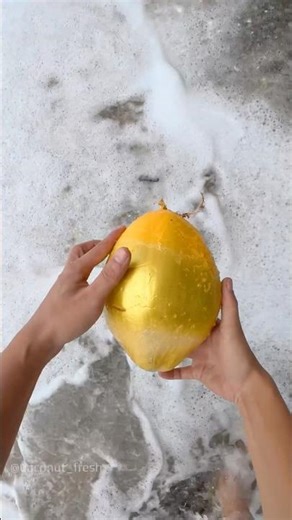 Fresh Golden Coconut Falling Down