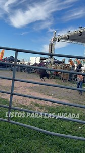 63K views · 1.4K reactions | Comando Elite de Los Destructores Stockton Ca #LosDestructores #jaripeo2025 #listosparalajugada #TorodeReparo #jaripeo #ComandoElite | Listos para la Jugada | Facebook