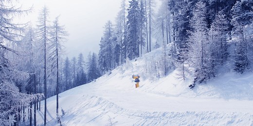 Manmade Snow vs. Real Snow (Differences Explained)