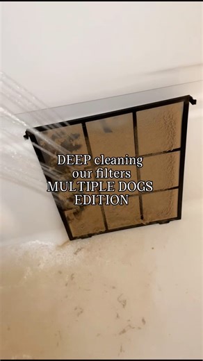 1.3M views · 19K reactions | Deep cleaning our HVAC filters.. 4 GIANT dogs edition #DeepClean #deepcleaning #cleaningtiktok #satisfyingcleaning #momsoftiktok #cleantok #beforeandaftercleaning #dogmom #cleaning #dogmomlife #beforeafter | Tailwaggintitans | Facebook