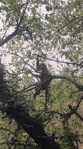 Spring session - lots of food, beauty and happiness for everyone.