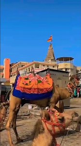 Jay Dwarkadhish ji #treanding #love