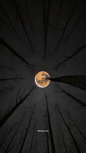 Hadal Ahbek - Issam Alnajjar | lyrics | aesthetic | english english | whatsapp status | speed up 💫❤️