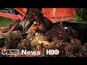 Norway Learned To Stop Eating The Rainforest (HBO)
