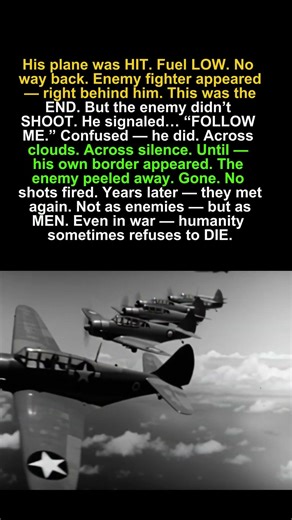 “The Pilot Who Followed His Enemy Home”