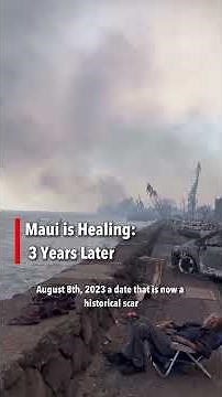 The Banyan Tree Lives: Lahaina’s Historic Recovery & Rebuilding Update