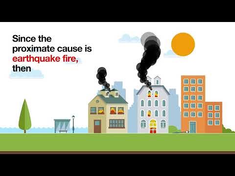 Proximate Cause Video
