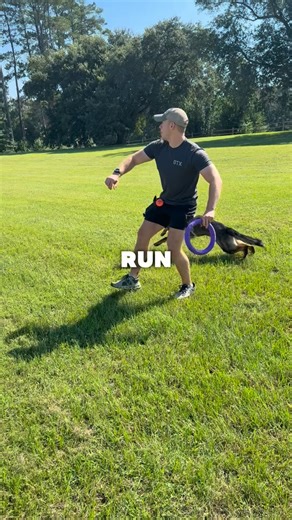 6 comments | Puller turns every play session into a full-body workout - and a whole lot of fun for your pup  | Puller - Dog Active Toy | Facebook