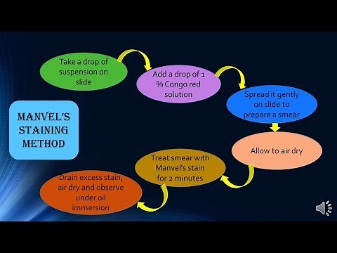 Capsule Staining By Manvel's Method - Microbiology with Sumi