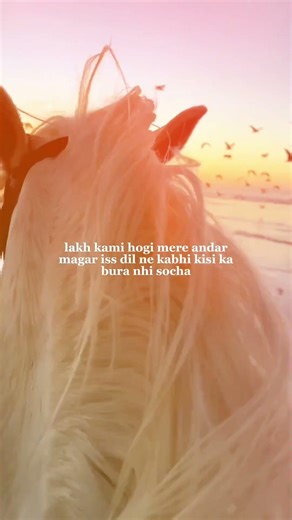 "Dil ki saafai hi asal khubsurti hai. 🌅🐎"​#GoodVibes #Soulful #HorseLovers #SunsetLovers #PureHeart